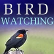 LOUISIANA BIRD WATCHING